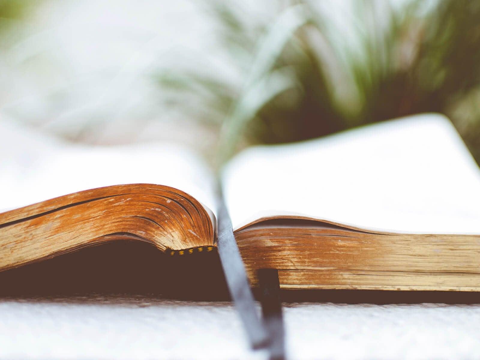 Die Bibel - Das Buch der Bücher