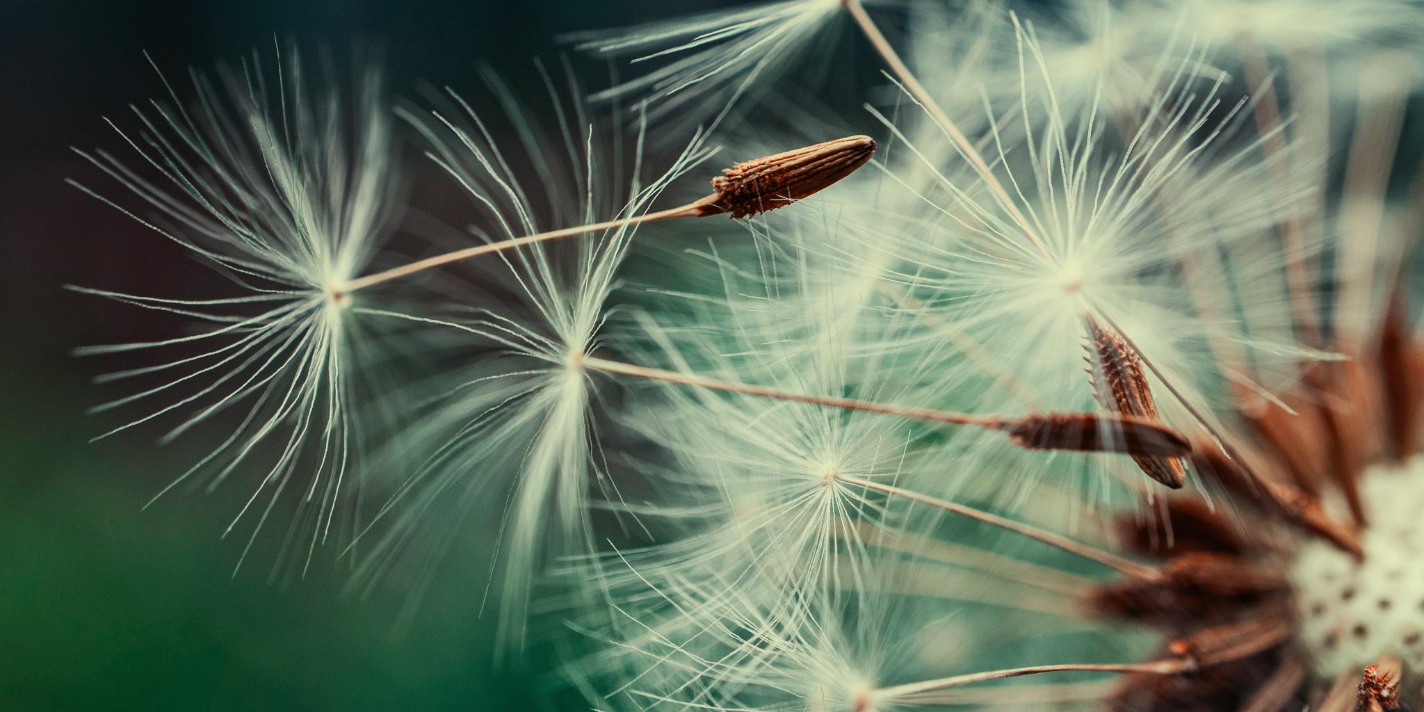 Von Yoga über Deutschkurse bis zu Kulturveranstaltungen