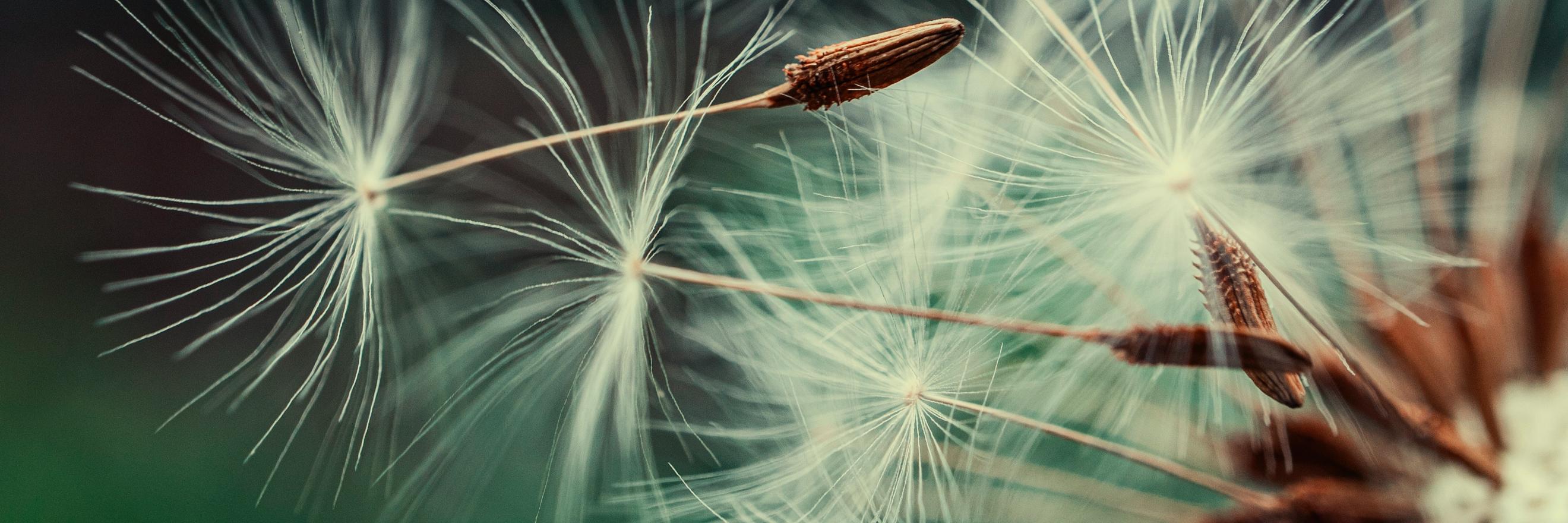 Von Yoga über Deutschkurse bis zu Kulturveranstaltungen