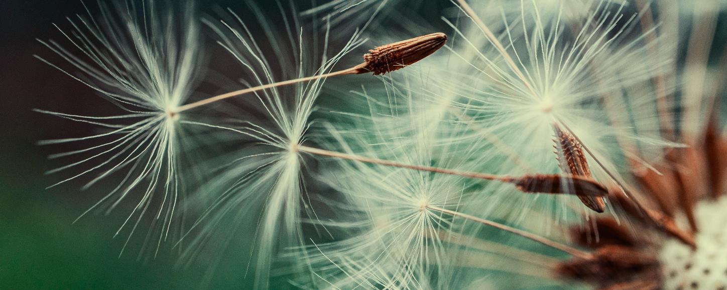 Von Yoga über Deutschkurse bis zu Kulturveranstaltungen