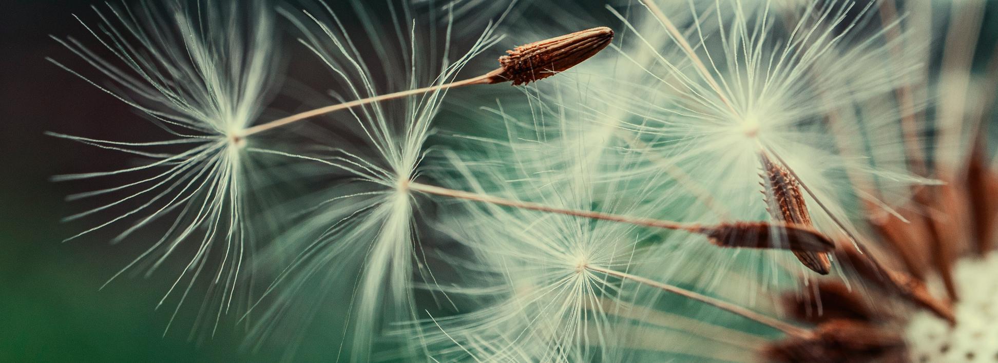 Von Yoga über Deutschkurse bis zu Kulturveranstaltungen