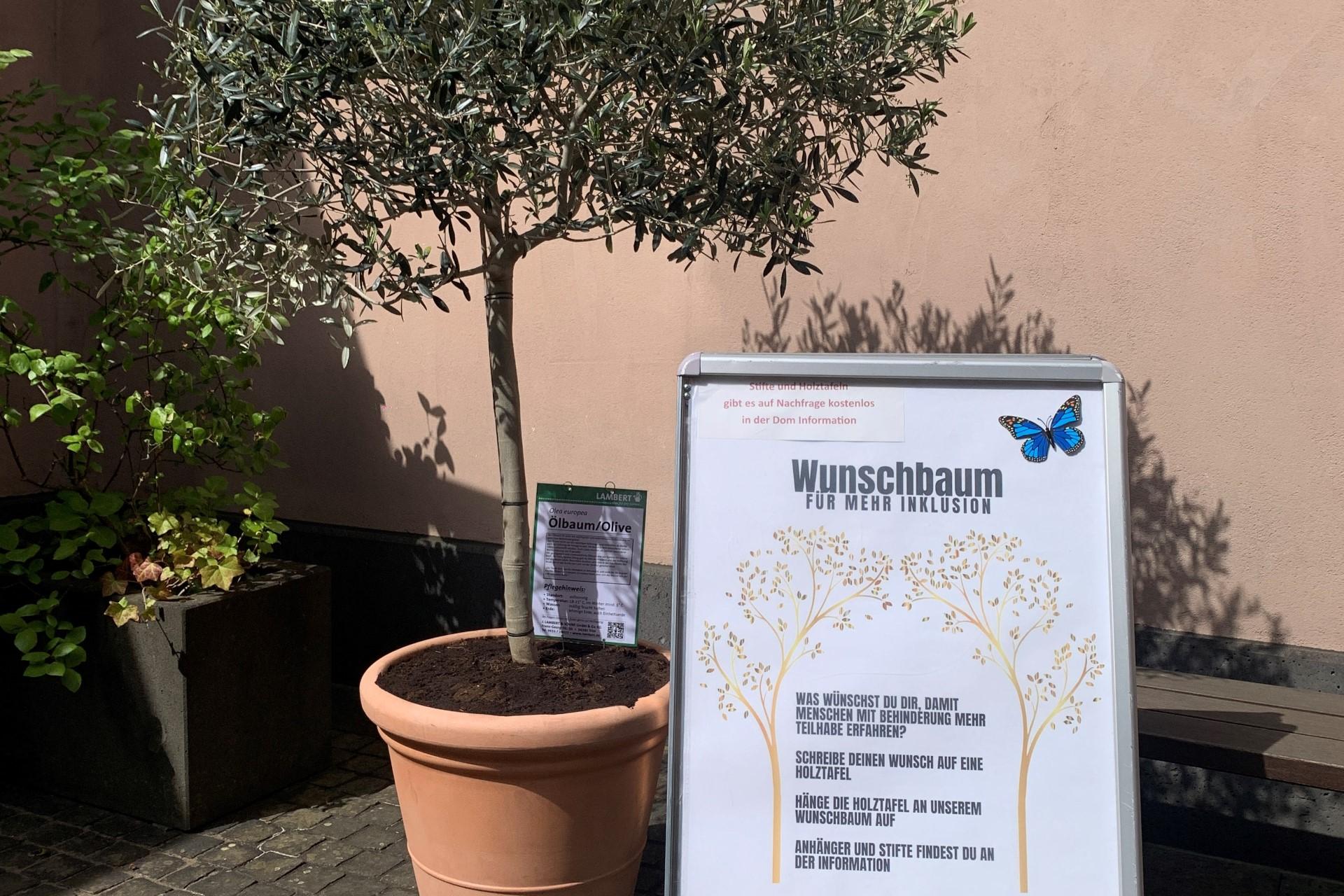 Der Wunschbaum wird im Innenhof der Dominformation und im Gartenzentrum LAMBERT zu finden sein.