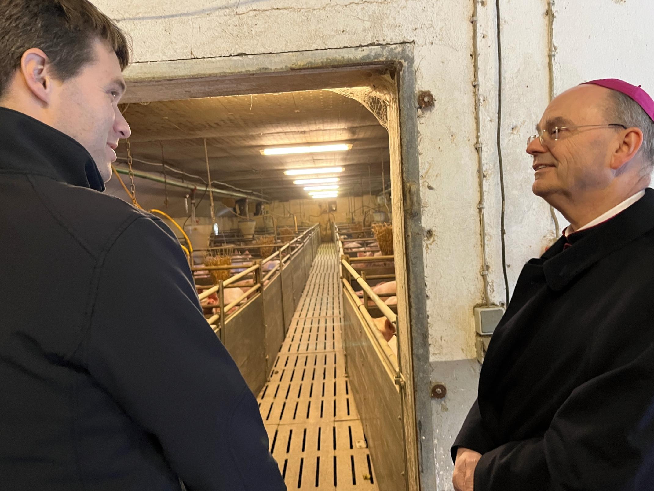 Weihbischof Brahm durfte auch einen Blick in den Schweinestall von Stefan Gilles werfen.