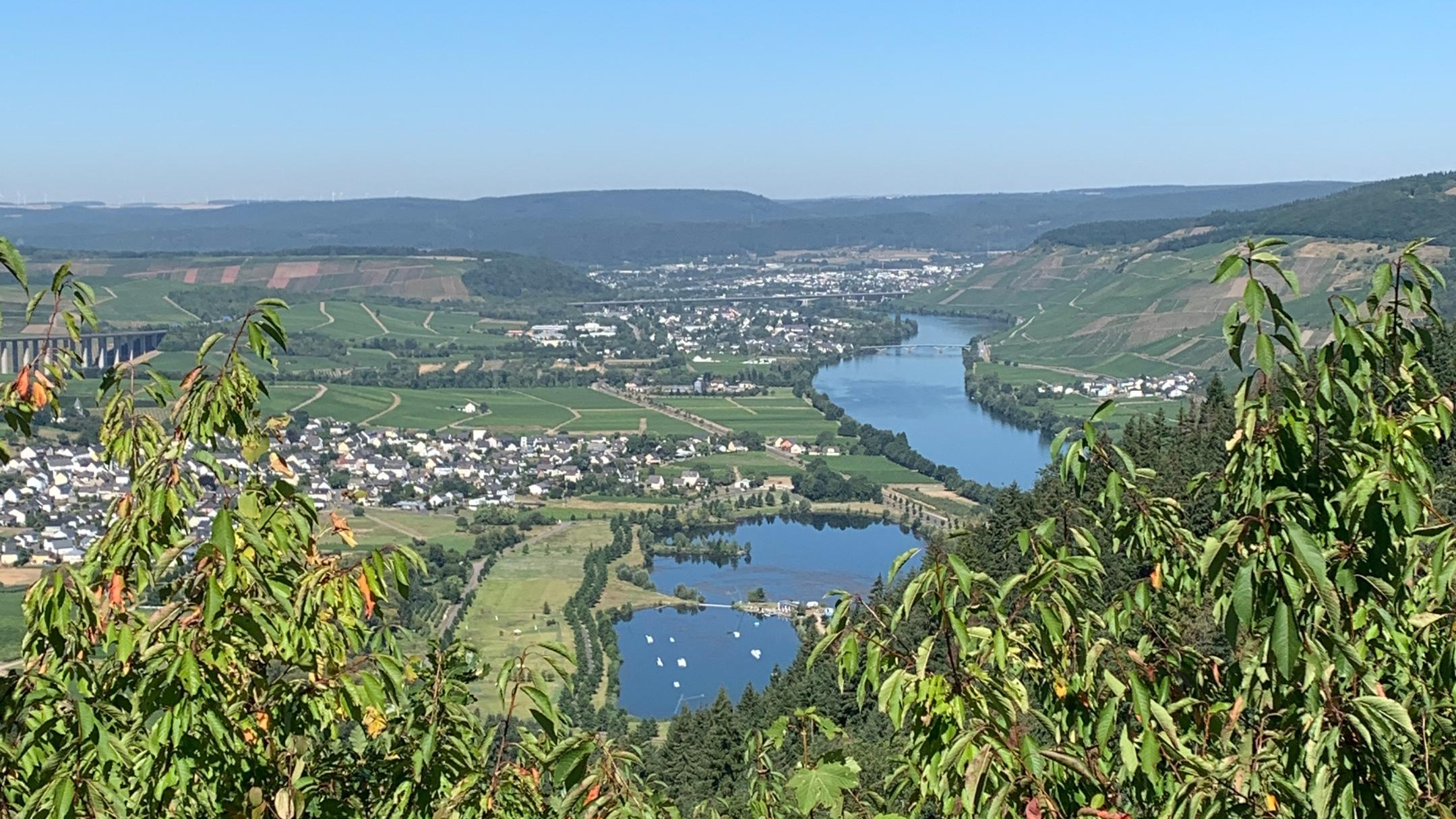 Mehringer Höhe im Sommer