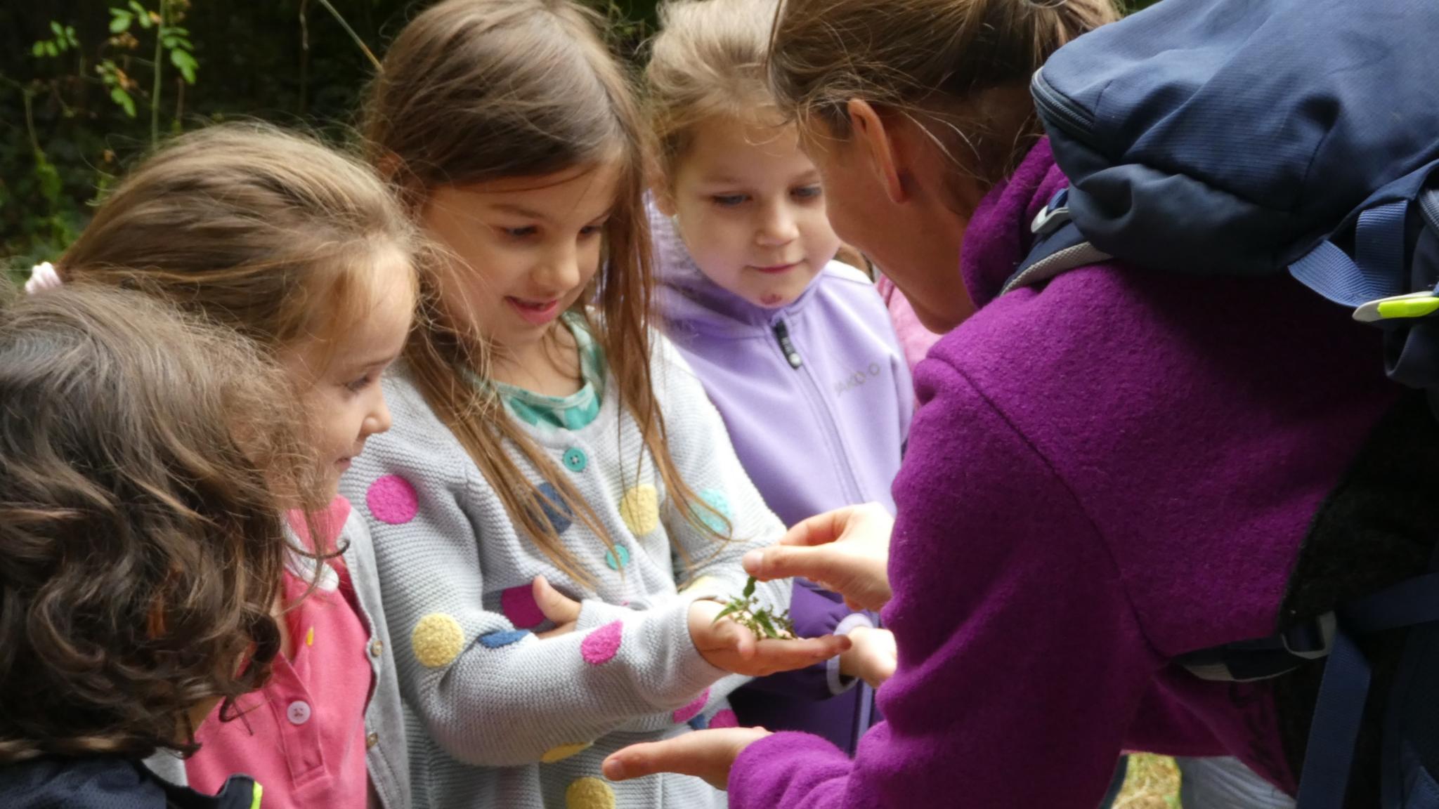 Im Montessori Kinderhaus des Koblenzer Caritasverbands gab es im Sommer ein Naturprojekt