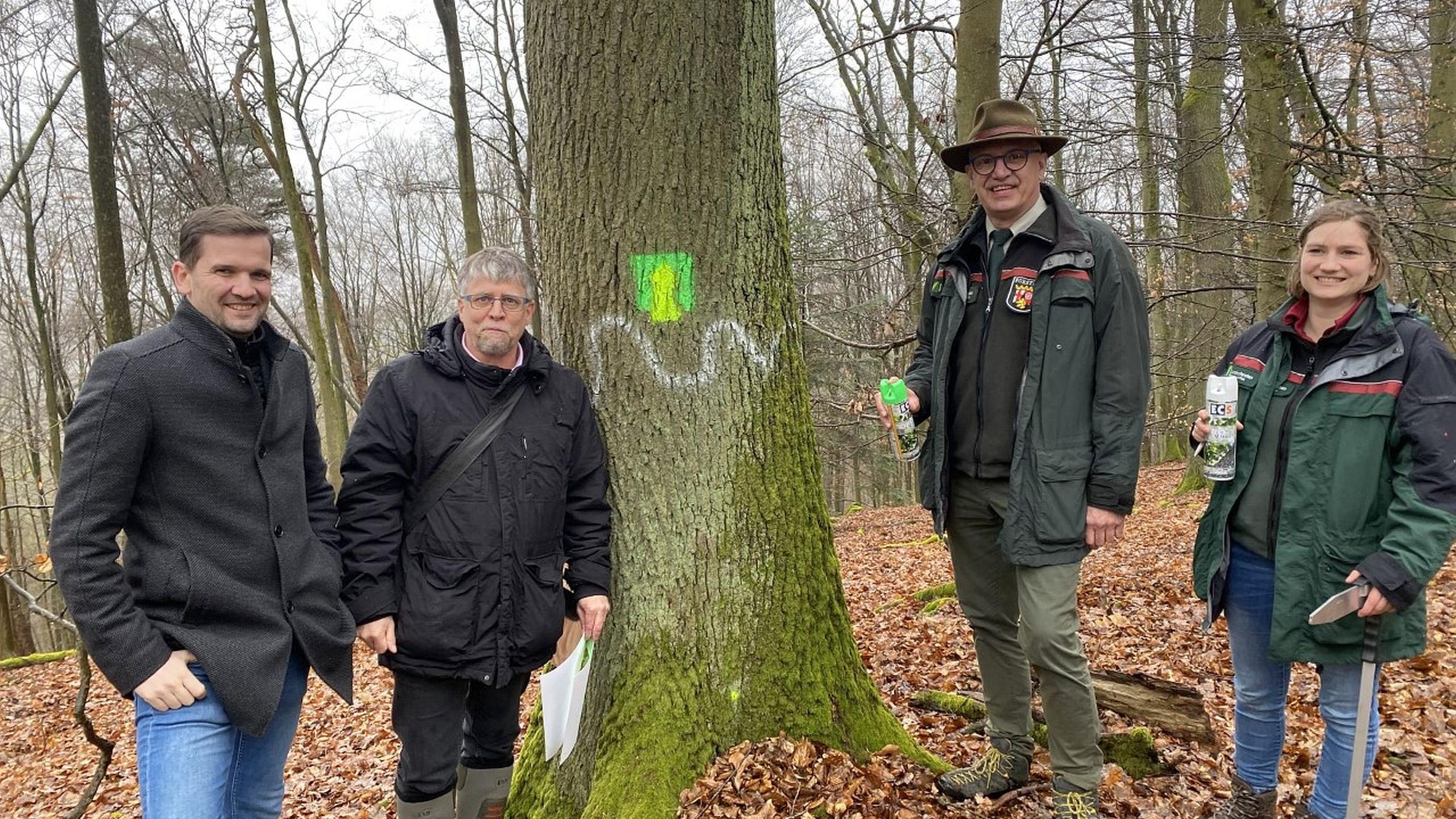 Bei der Zwischenbilanz des Projekts am Kockelsberg (von links): Tobias Reiland, Andreas Wagner, Gundolf Bartmann und  Regionalförsterin Alena Wehr.