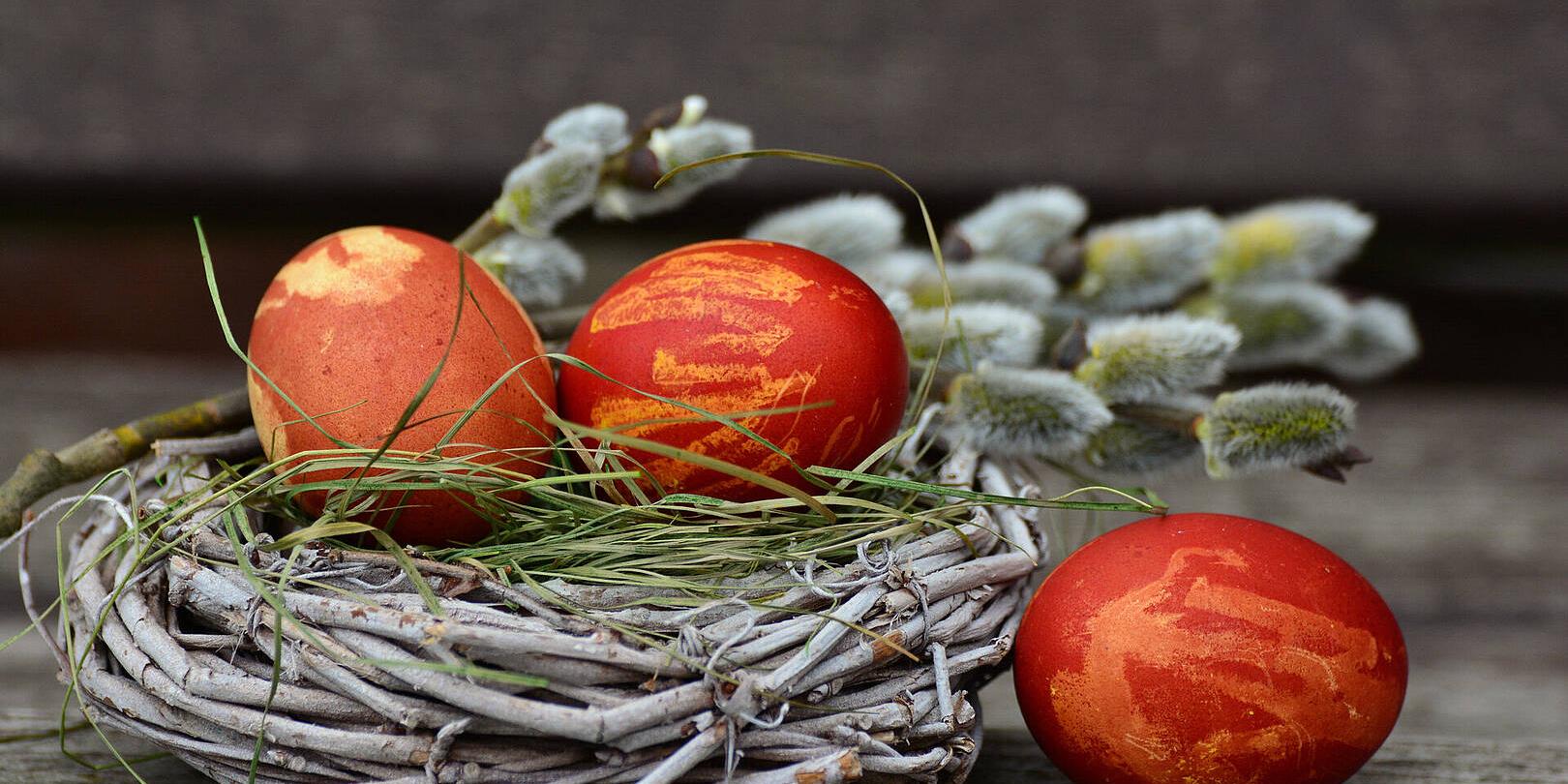 Ostereier in der Farbe orange liegen in einem Nest