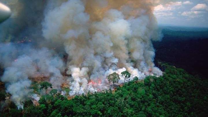 Verheerende Waldbrände zerstören die bolivianische Landschaft (Fotos: Partnerschaftskommission)