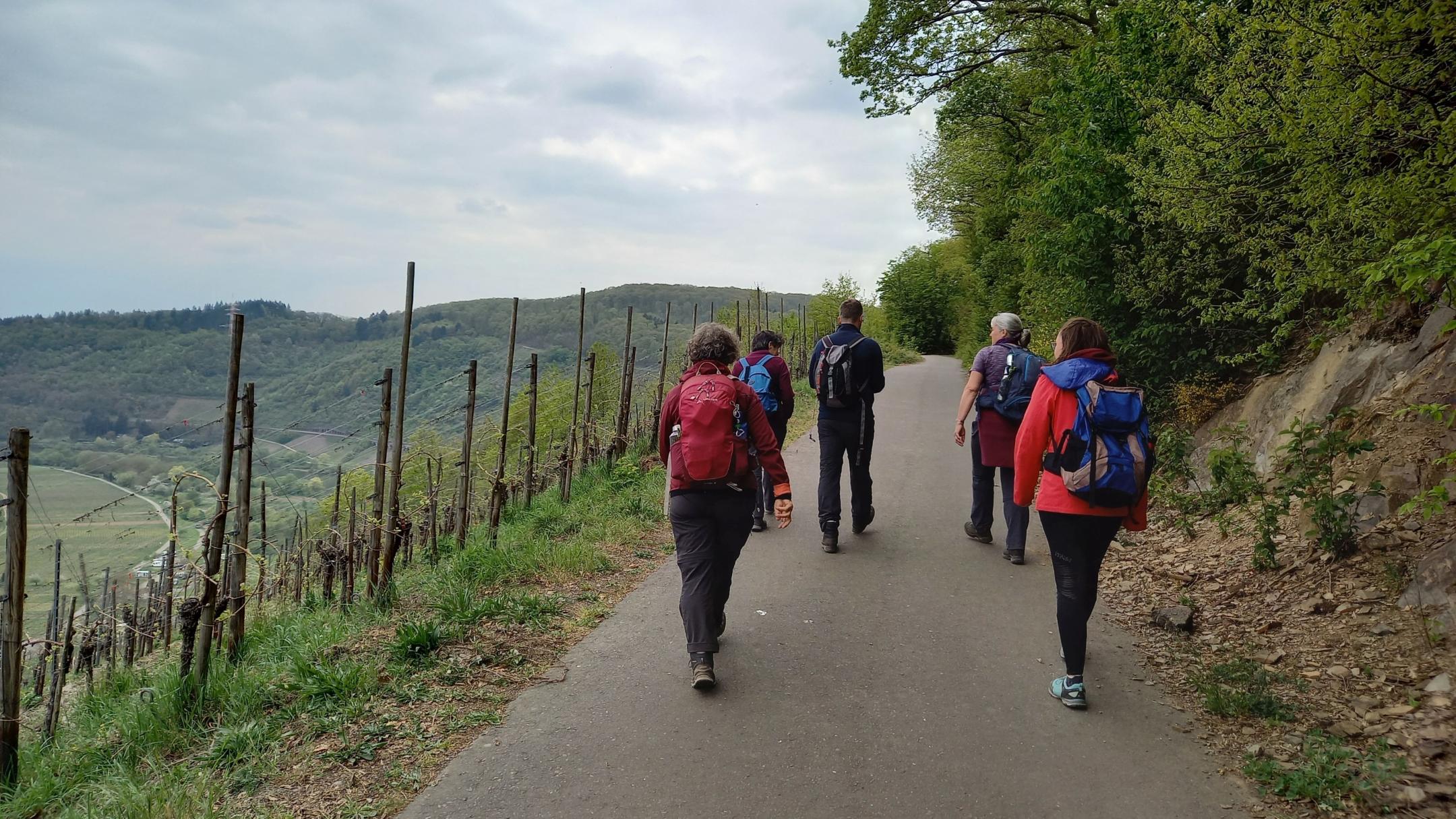 Den Abschluss bildete ein Pilgertag an der Mosel (Foto: Judith Schwickerath)