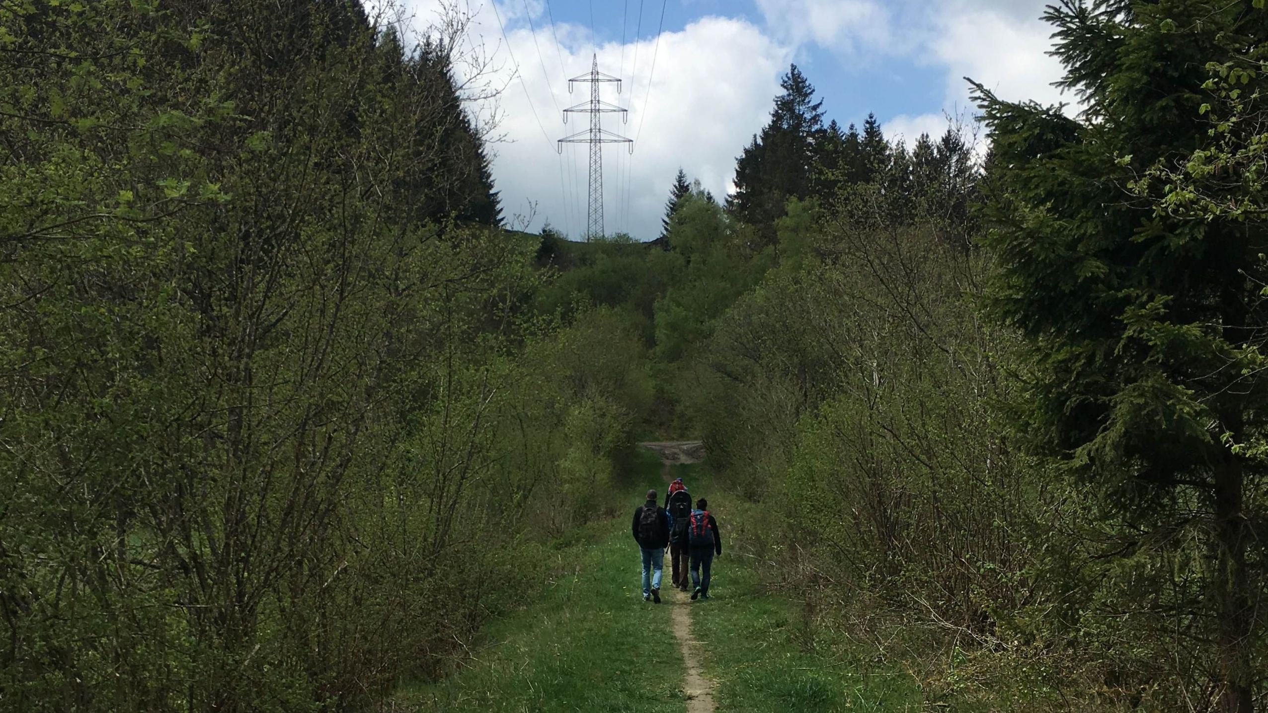 Corona-bedingt kann der Pilgerweg im Rahmen der Heilig-Rock-Tage in diesem Jahr nur digital stattfinden (Archivfoto: Bistum Trier)