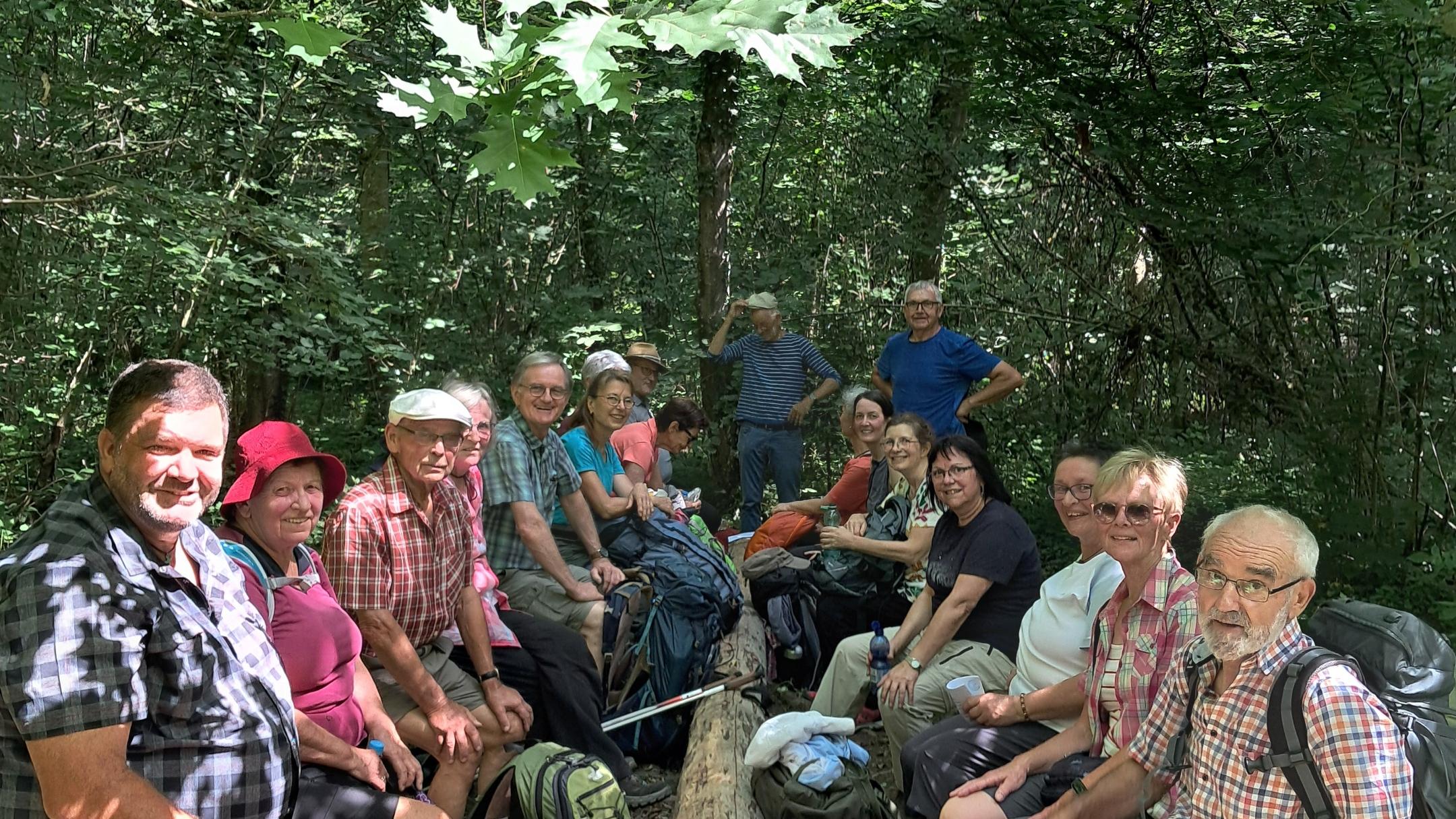 Eine Wandergruppe sitzt im Wald auf einfachen Holzbänken beisammen und macht eine Pause
