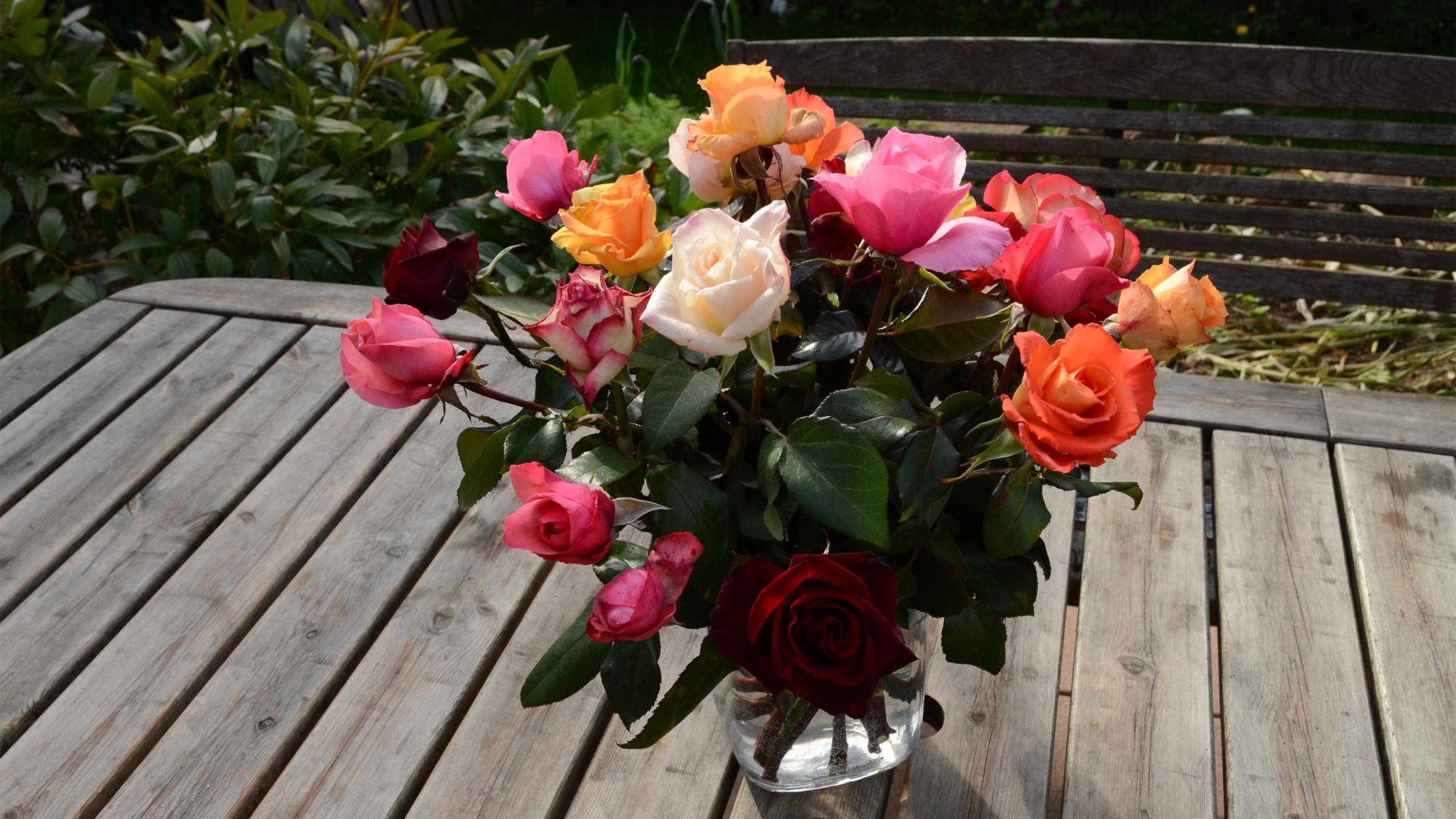 Strauß rosen 17637_dsc_0291_by_christian_schmitt_pfarrbriefservice