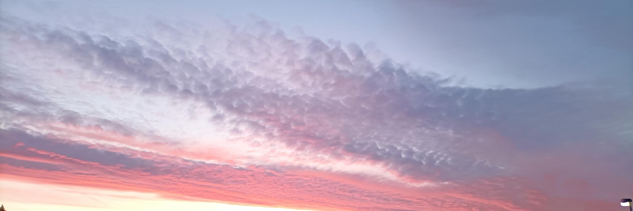 Ein rosa gefärbter Winterhimmel