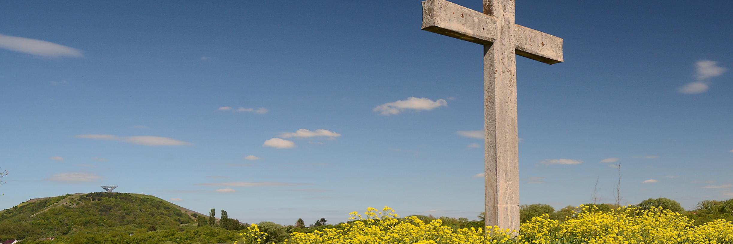 Lisdorfer Aue mit blühenden Blumen in Frühlingssonne