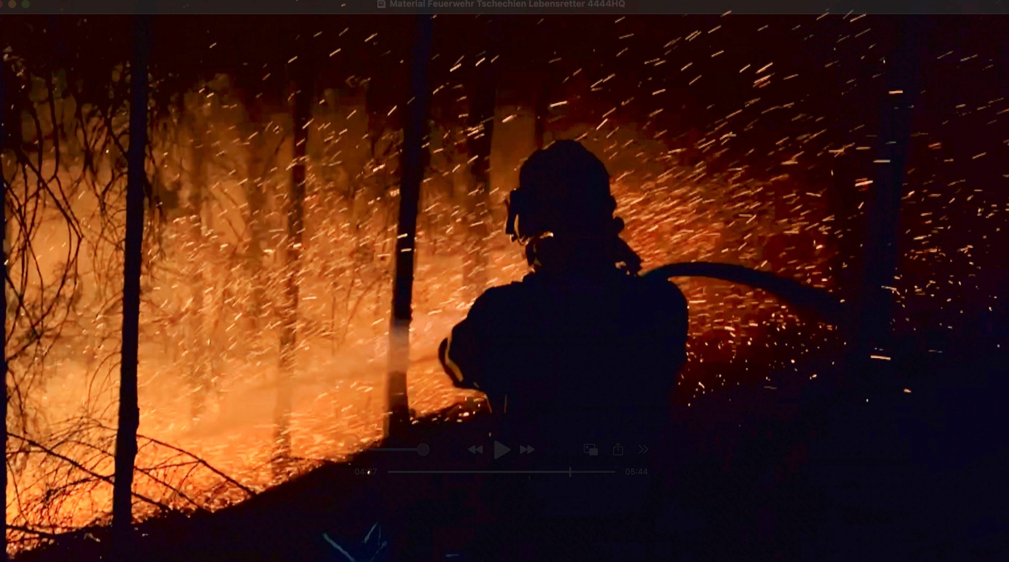 Ein Feuerwehrmann löscht brennende Bäume