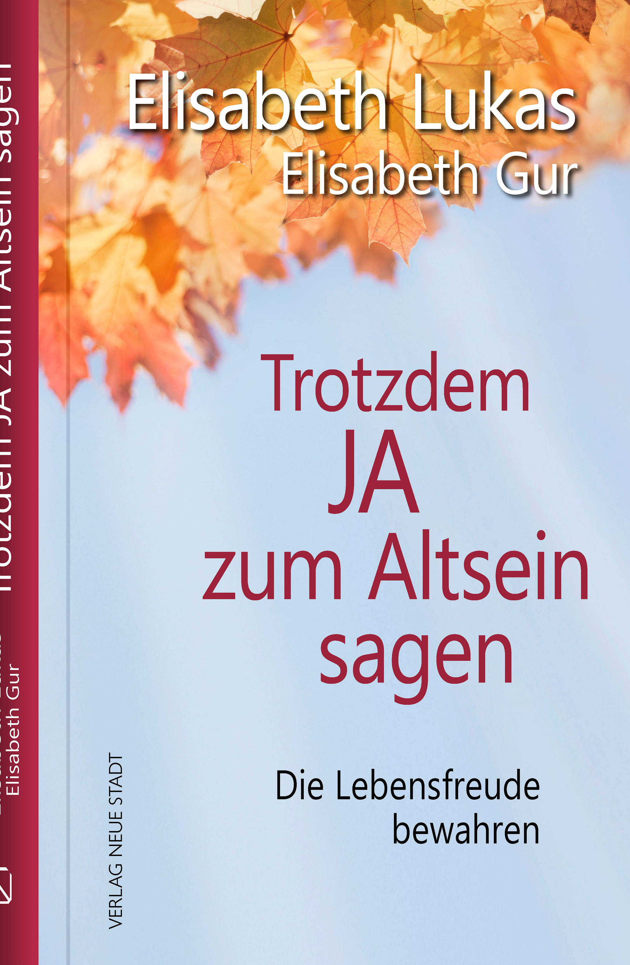 Buch-Cover: Trotzdem JA zum Altsein sagen