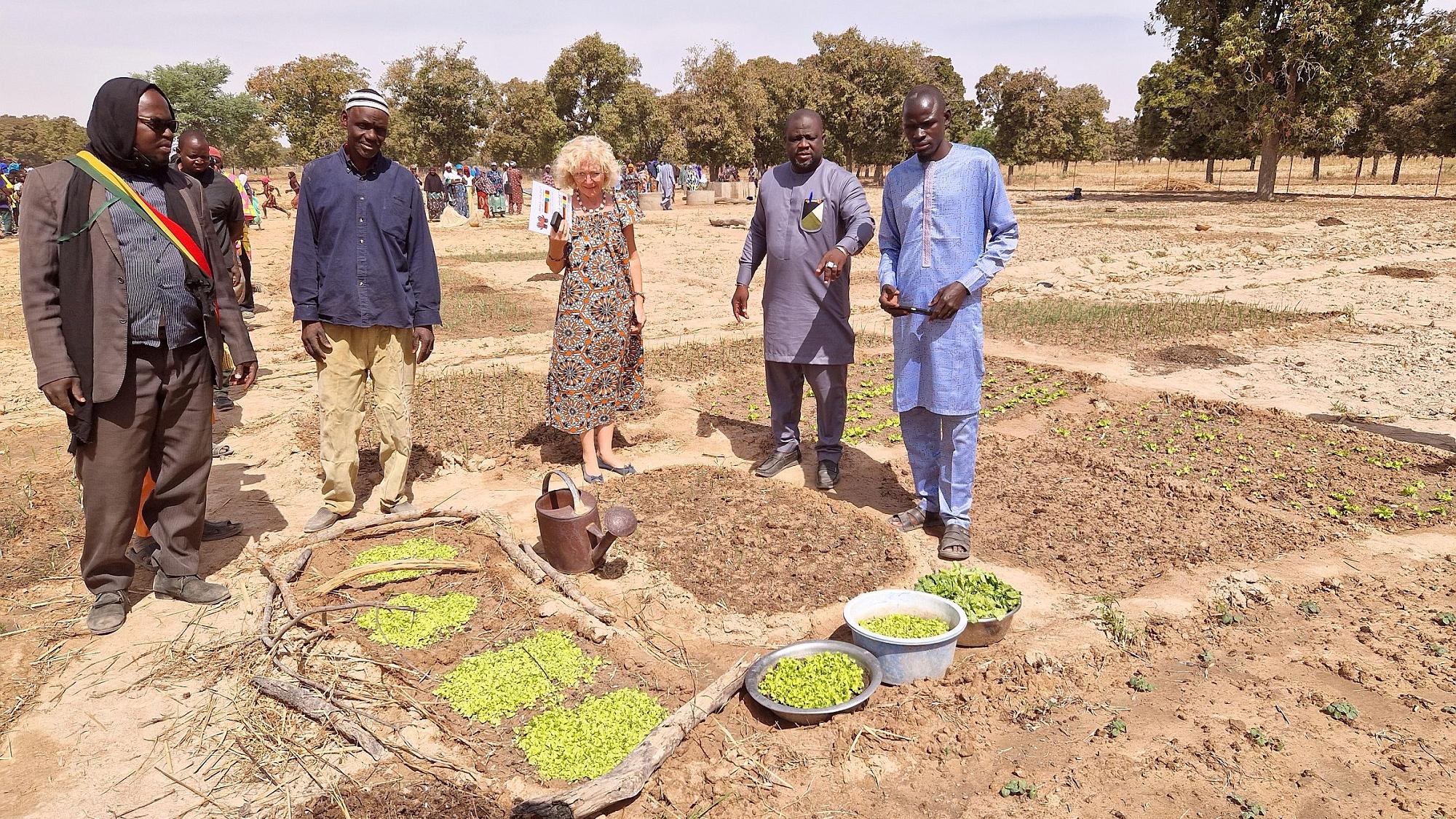 Einweihung des neu angelegten Schulgartens in Mali.