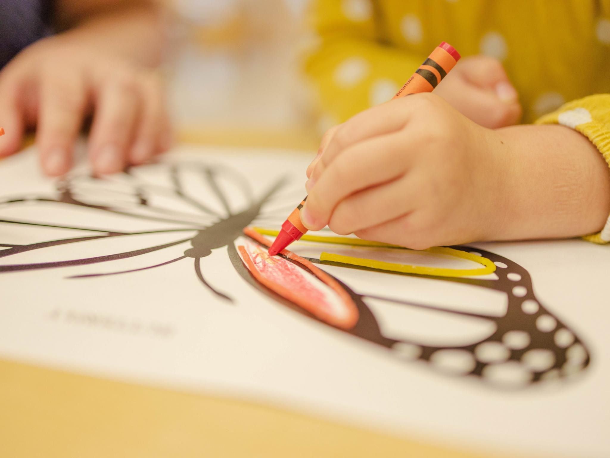 Nahaufnahme einer Kinderhand, die einen Schmetterling auf einem Papier mit Buntstift ausmalt