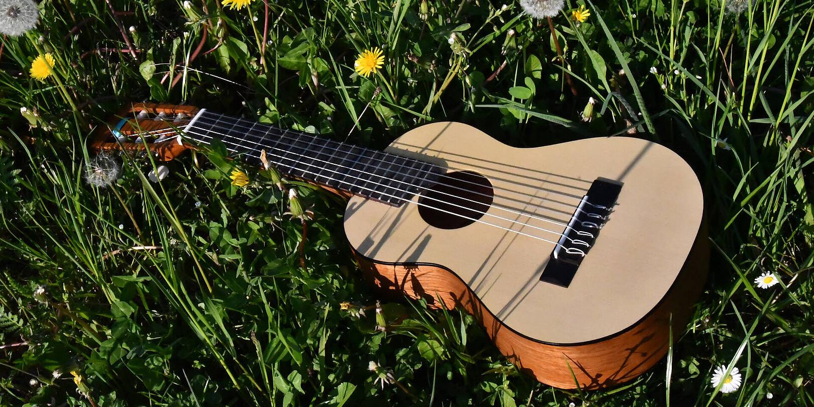 Eine Gitarre liegt in einer Blumenwiese