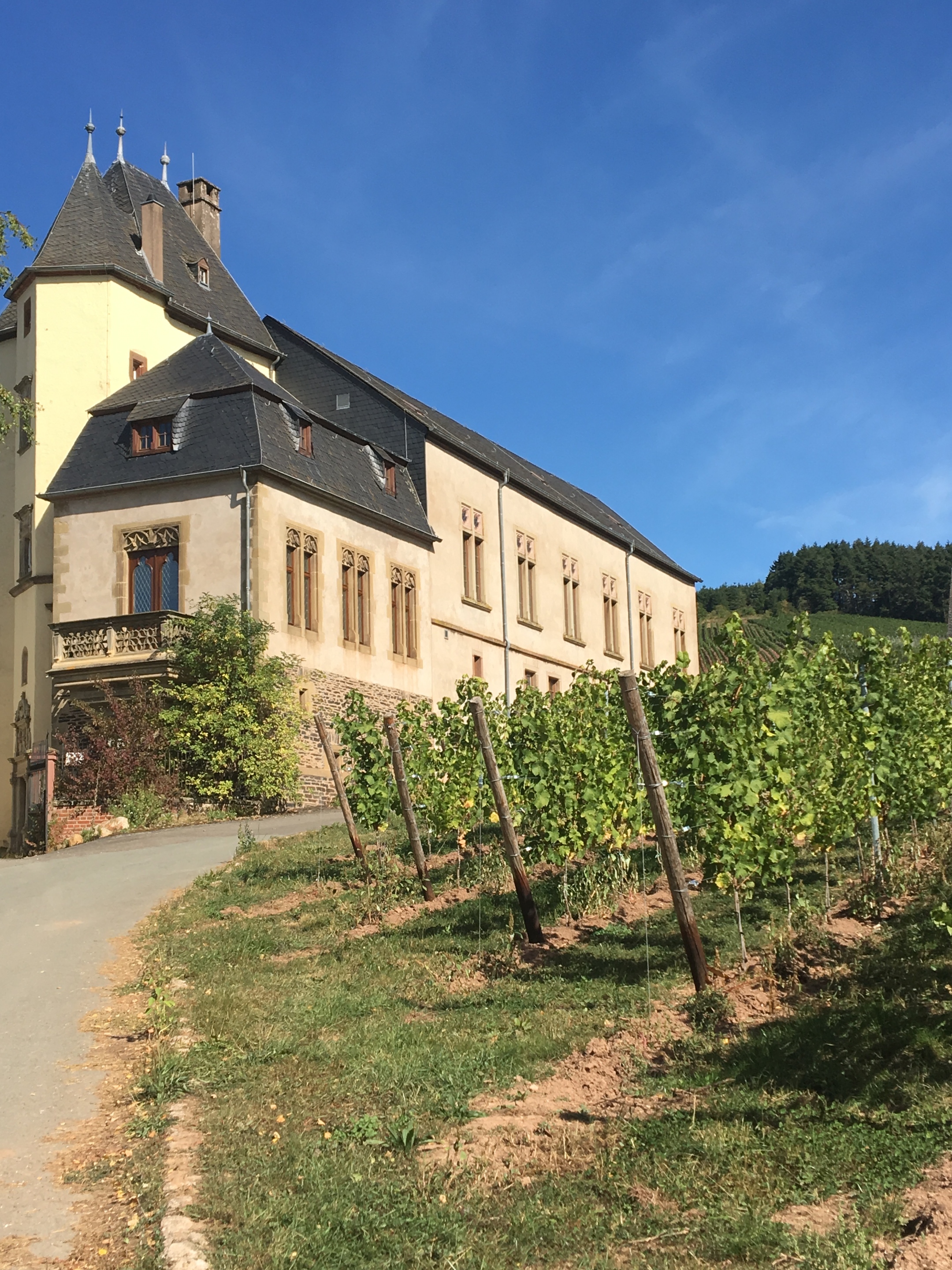 altes Hofgut zwischen Weinbergen