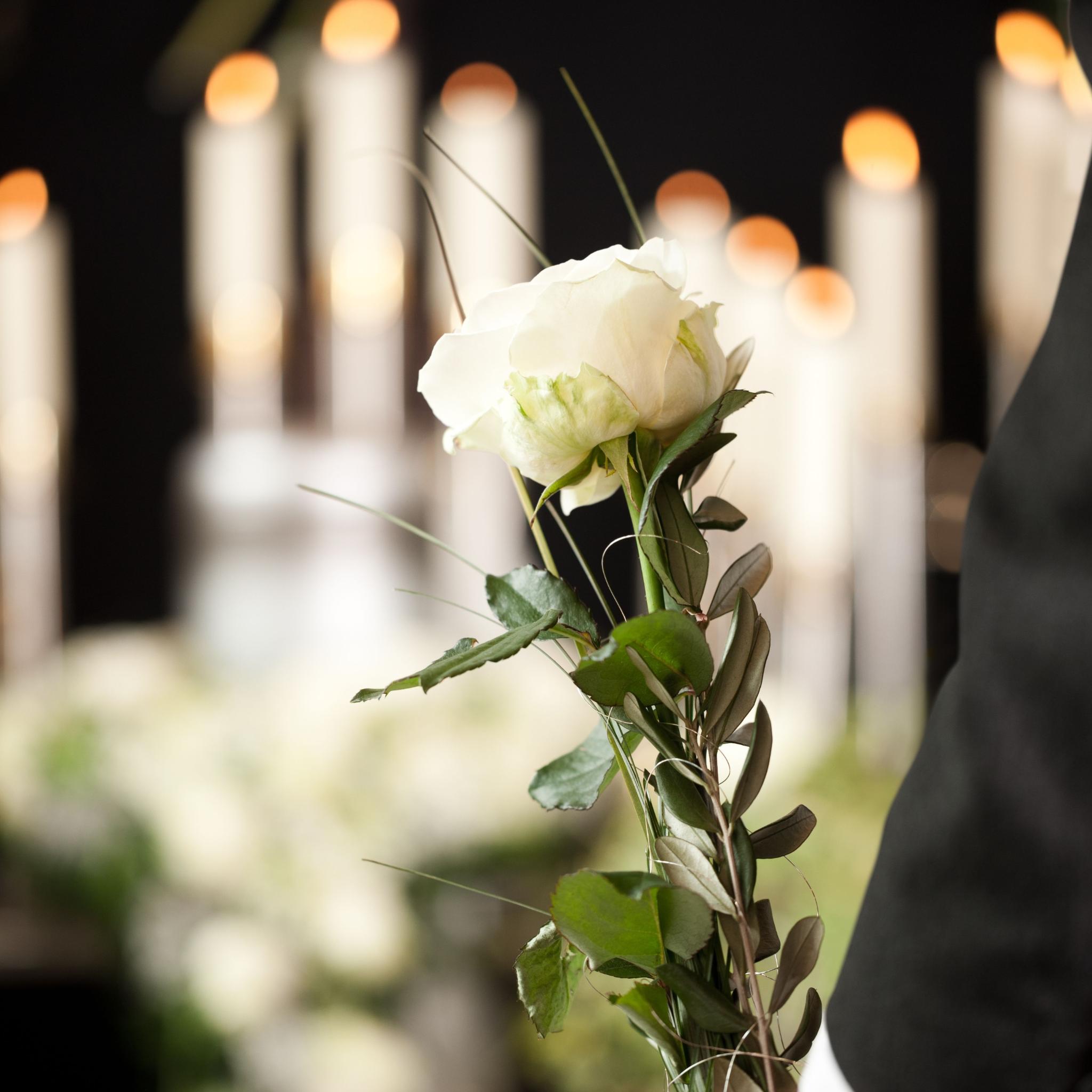 weiße Rose vor brennenden Kerzen