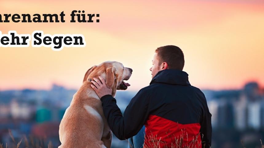 weil-mehr-geht.de