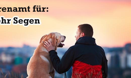 weil-mehr-geht.de