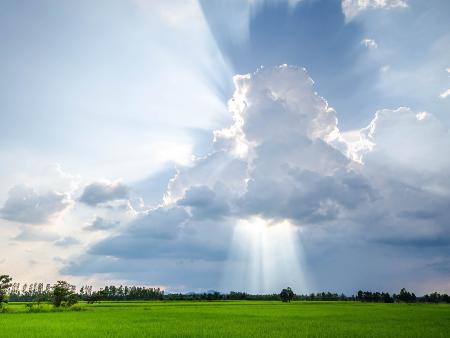 Sonnenstrahlen brechen durch weiße Wolken und beleuchten eine saftig grüne Wiese mit einer Waldgrenze im Hintergrund