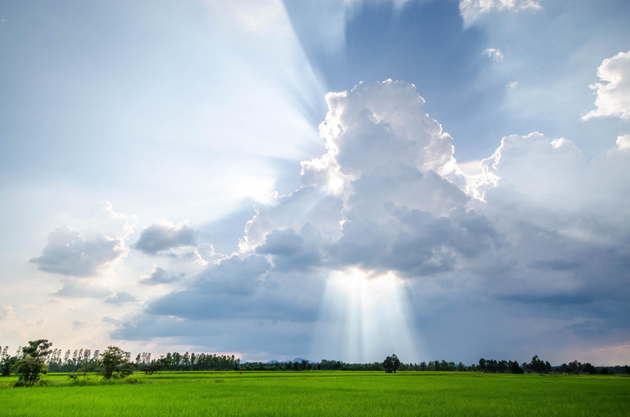 Sonnenstrahlen brechen durch weiße Wolken und beleuchten eine saftig grüne Wiese mit einer Waldgrenze im Hintergrund