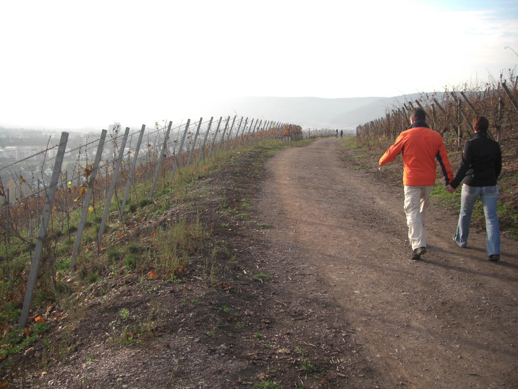 zwei Menschen auf einem Wanderweg in den Weinbergen