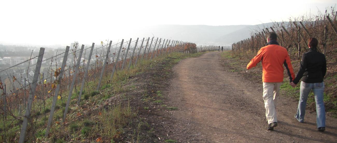 zwei Menschen auf einem Wanderweg in den Weinbergen