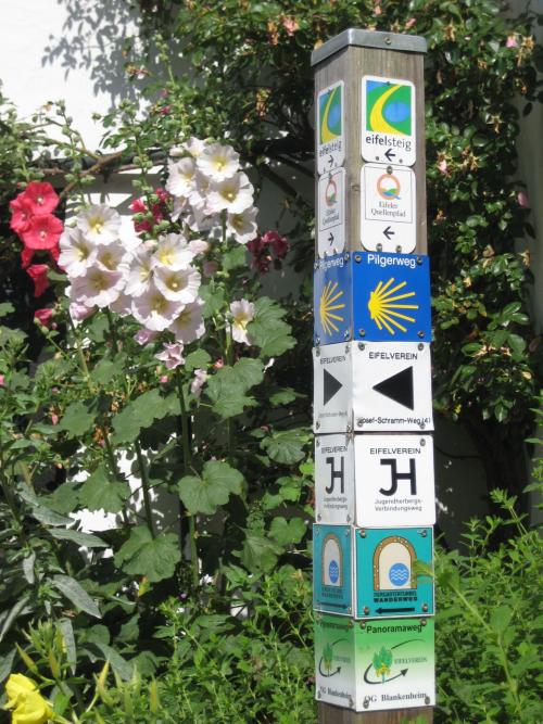 Wegweiser neben Blumen