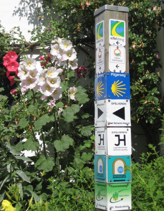 Wegweiser neben Blumen