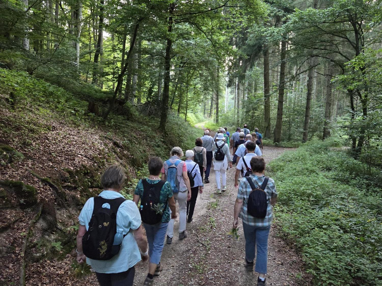 Eine Gruppe von Menschen wandert auf einem Waldweg, umgeben von grünem Laub.