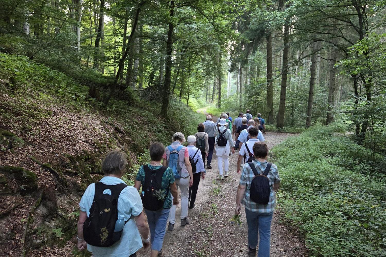 Eine Gruppe von Menschen wandert auf einem Waldweg, umgeben von grünem Laub. (c) Bild: Kerstin Dupont. In: Pfarrbriefservice.de Eine Gruppe von Menschen wandert auf einem Waldweg, umgeben von grünem Laub.