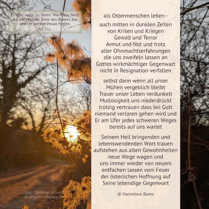 Bild einer untergehenden Sonne hinter Blüten eines Baumes. Darüber liegt der Impulstext