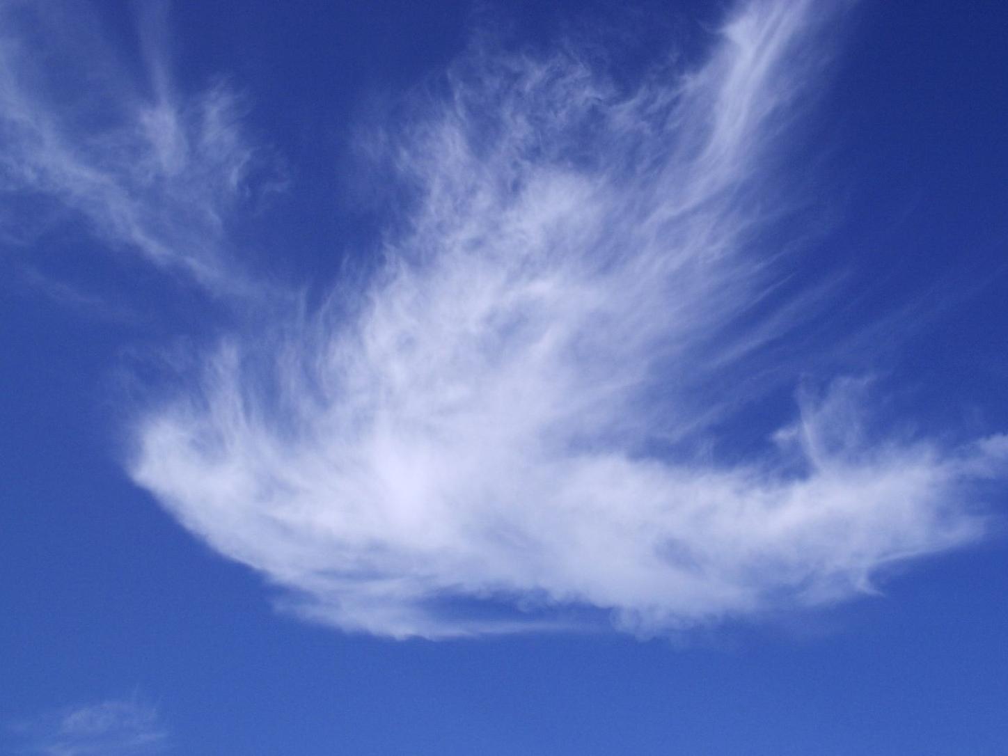 Man sieht eine Wolke in Form einer weißen Taube vor blauem Hintergrund
