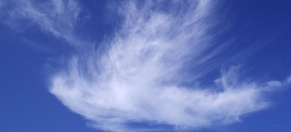 Man sieht eine Wolke in Form einer weißen Taube vor blauem Hintergrund