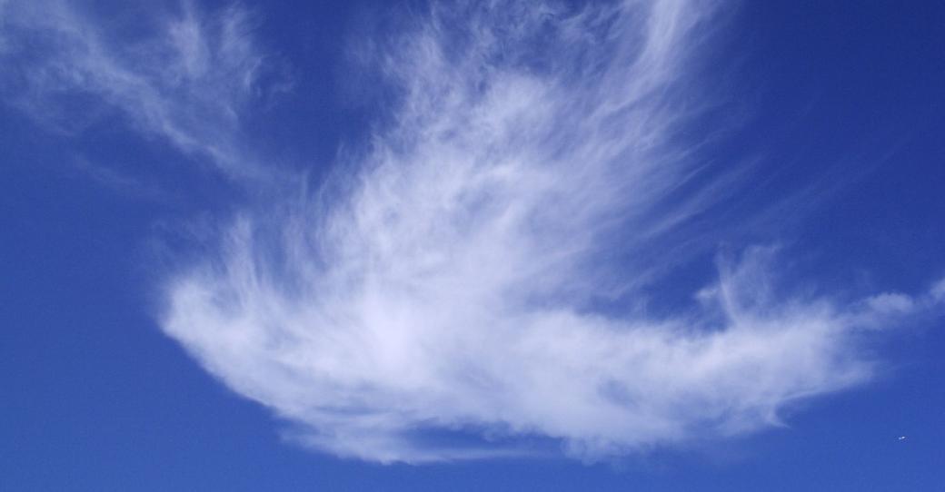 Man sieht eine Wolke in Form einer weißen Taube vor blauem Hintergrund