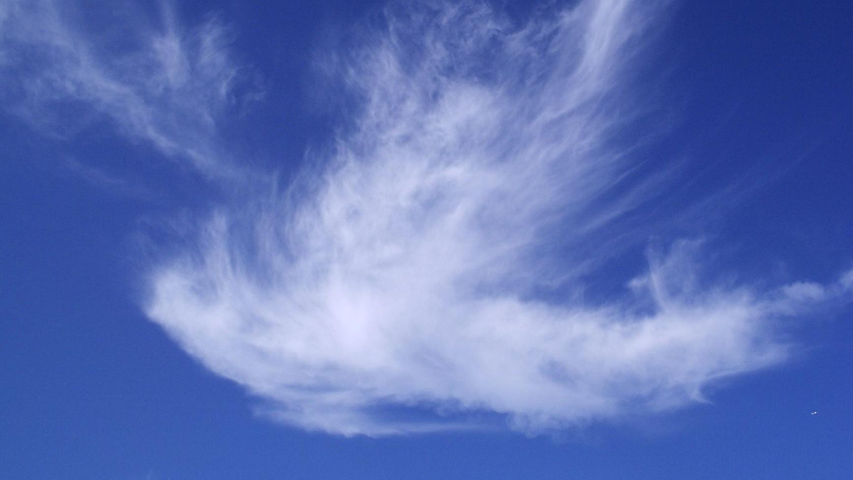 Man sieht eine Wolke in Form einer weißen Taube vor blauem Hintergrund