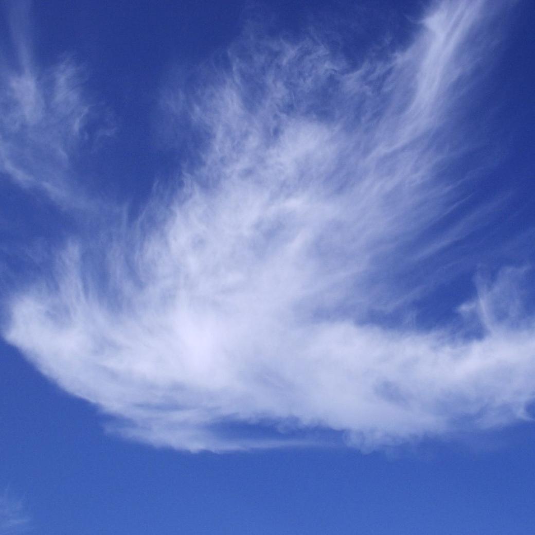 Man sieht eine Wolke in Form einer weißen Taube vor blauem Hintergrund