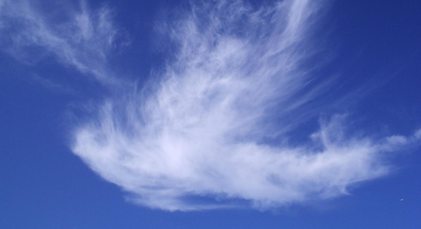Man sieht eine Wolke in Form einer weißen Taube vor blauem Hintergrund