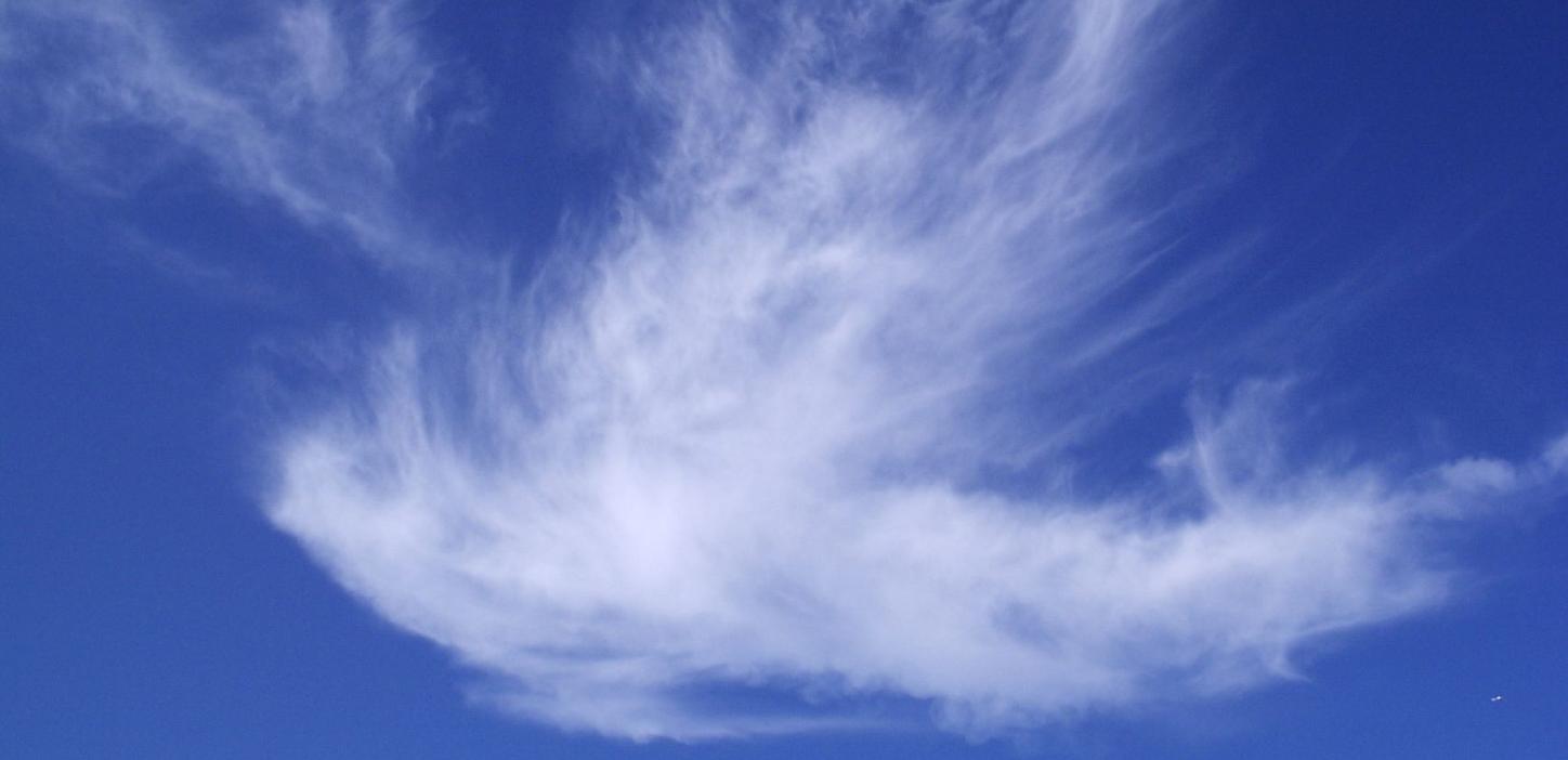 Man sieht eine Wolke in Form einer weißen Taube vor blauem Hintergrund