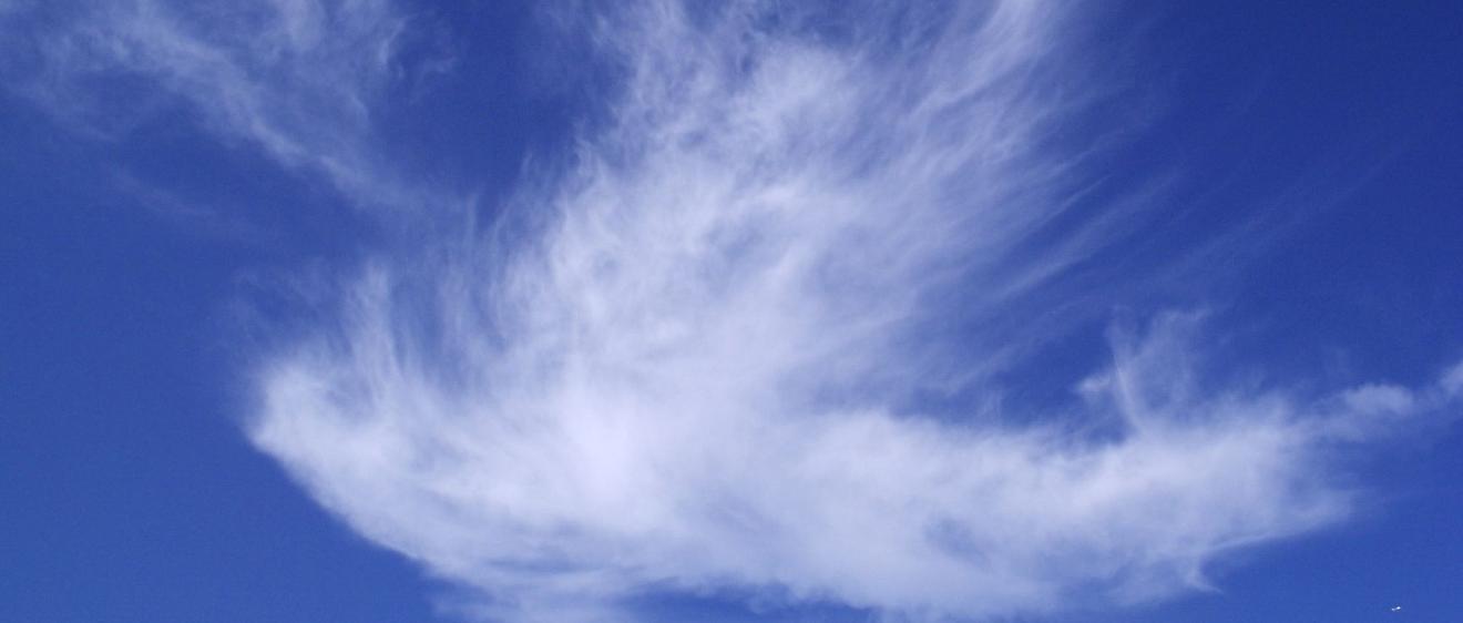 Man sieht eine Wolke in Form einer weißen Taube vor blauem Hintergrund