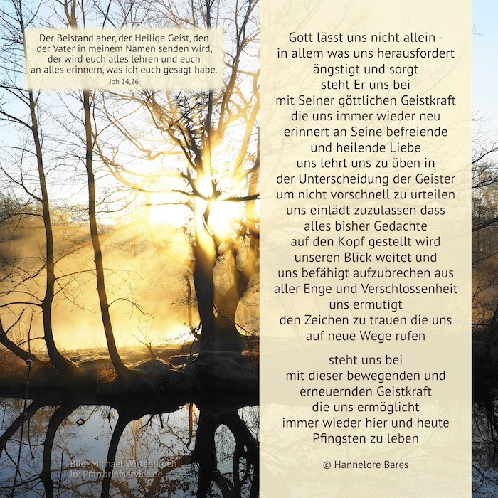 Ein Gewässer mit einem noch kahlen Baum und Sonnenaufgang im Hintergrund (c) Hannelore Bares Ein Gewässer mit einem noch kahlen Baum und Sonnenaufgang im Hintergrund