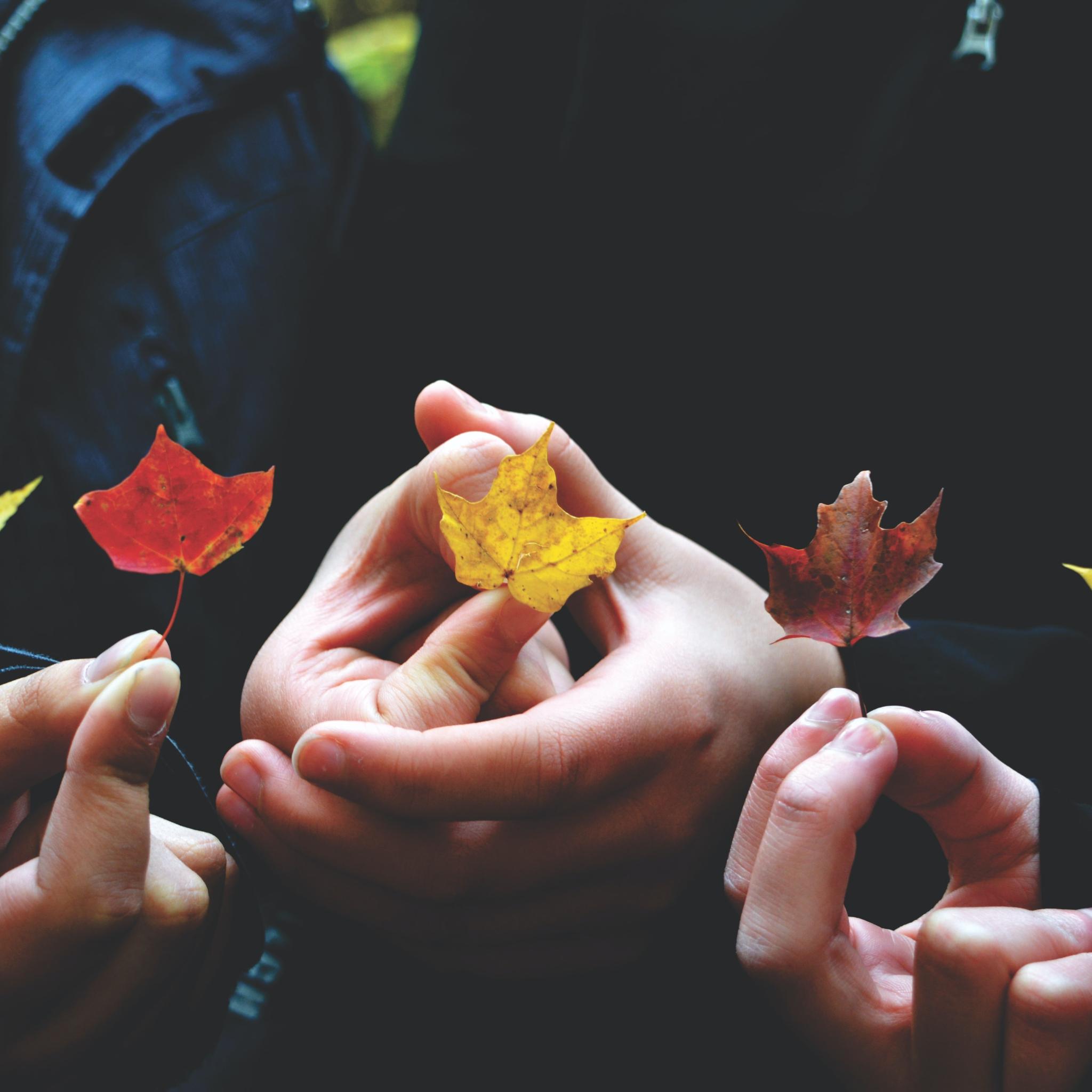 Mehrere Personen haben je ein herbstliches Blatt eines Baumes in der Hand und zeigen es.