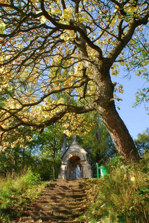 Kapelle in Echternach mit grünem Laubbaum und Treppenstufen an einem sonnigen Tag.