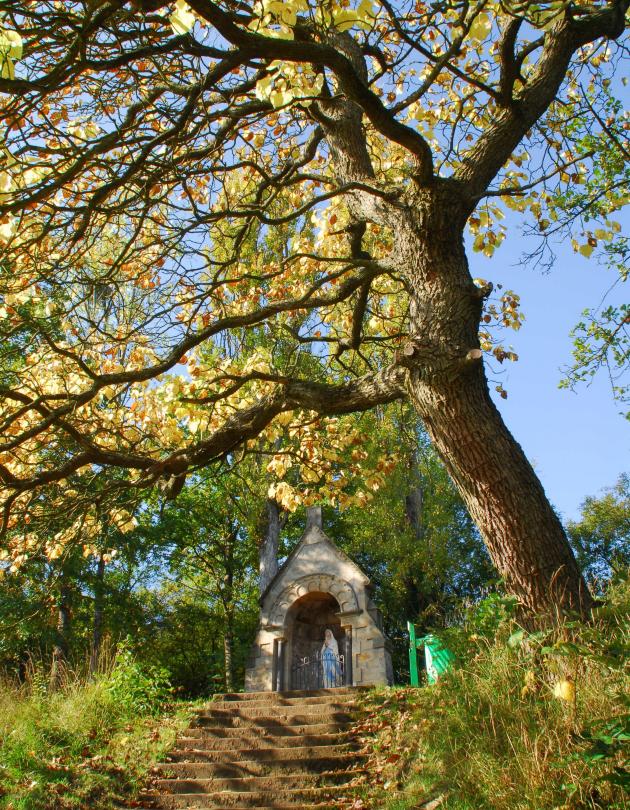 Kapelle in Echternach mit grünem Laubbaum und Treppenstufen an einem sonnigen Tag.
