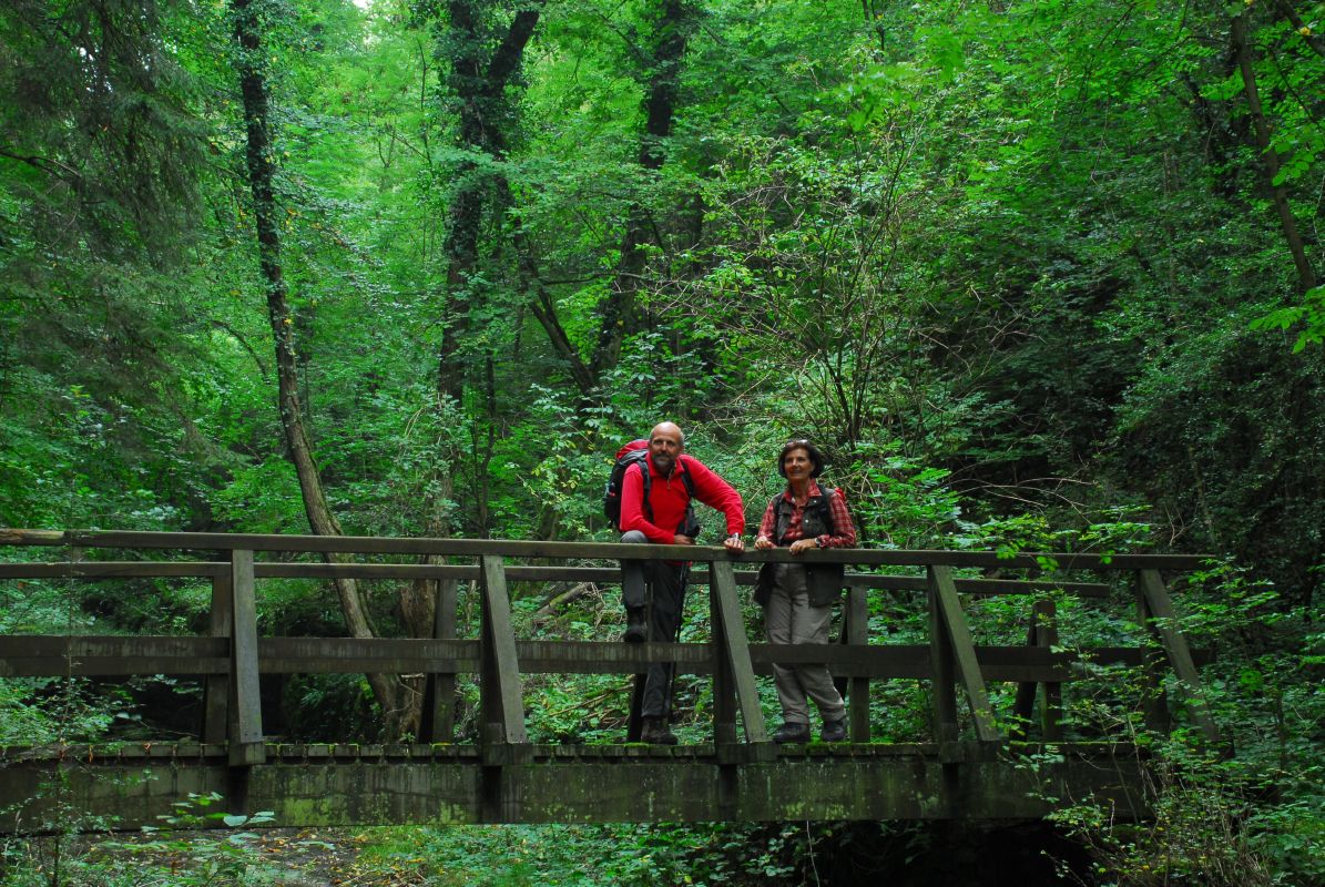 Zwei Wanderer stehen im Wald auf einer Holzbrücke