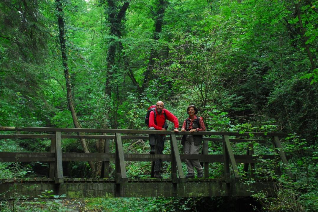 Zwei Wanderer stehen im Wald auf einer Holzbrücke